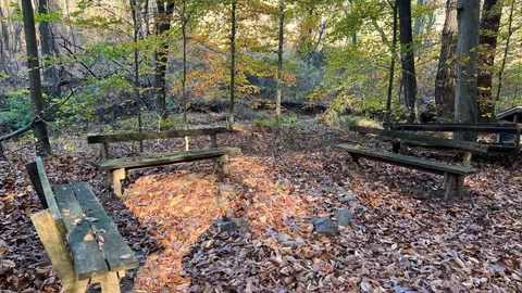 Overnight Frog Hollow — image 12 of 12