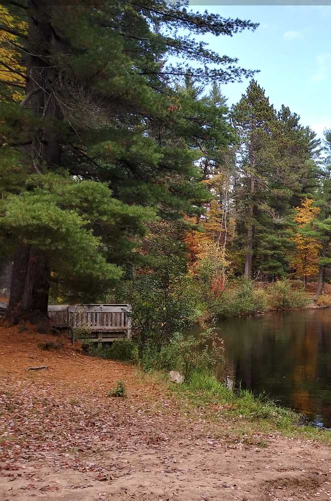 Farquar-Mesta Tourist Park & Campground - Photo 3