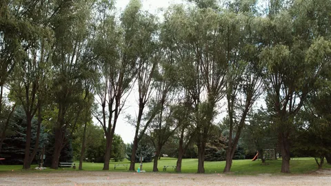 GRAVEL - 30/50 AMP Water/Power Back in site — image 1 of 5