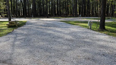 Premium Pull-Through RV Site — image 1 of 1
