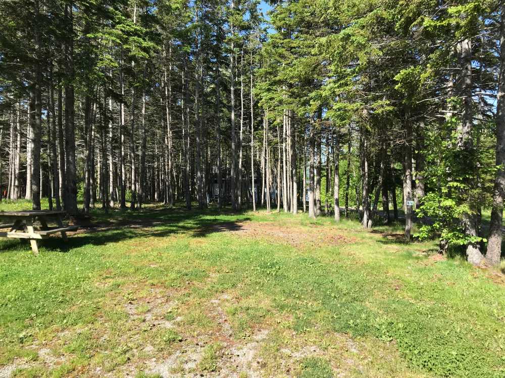 Park Image 7