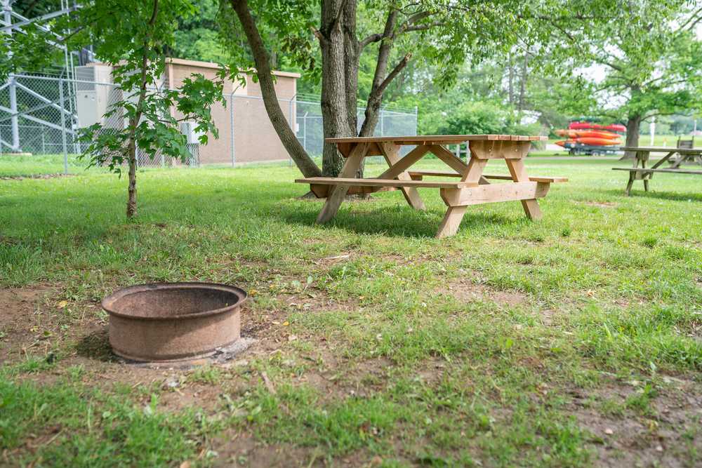 Turkey Run Canoe & Camping - Photo 2