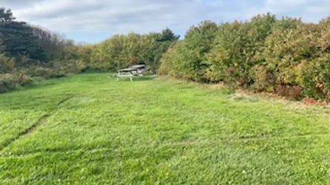 Unserviced Open Tent/Popup Sites — image 1 of 1