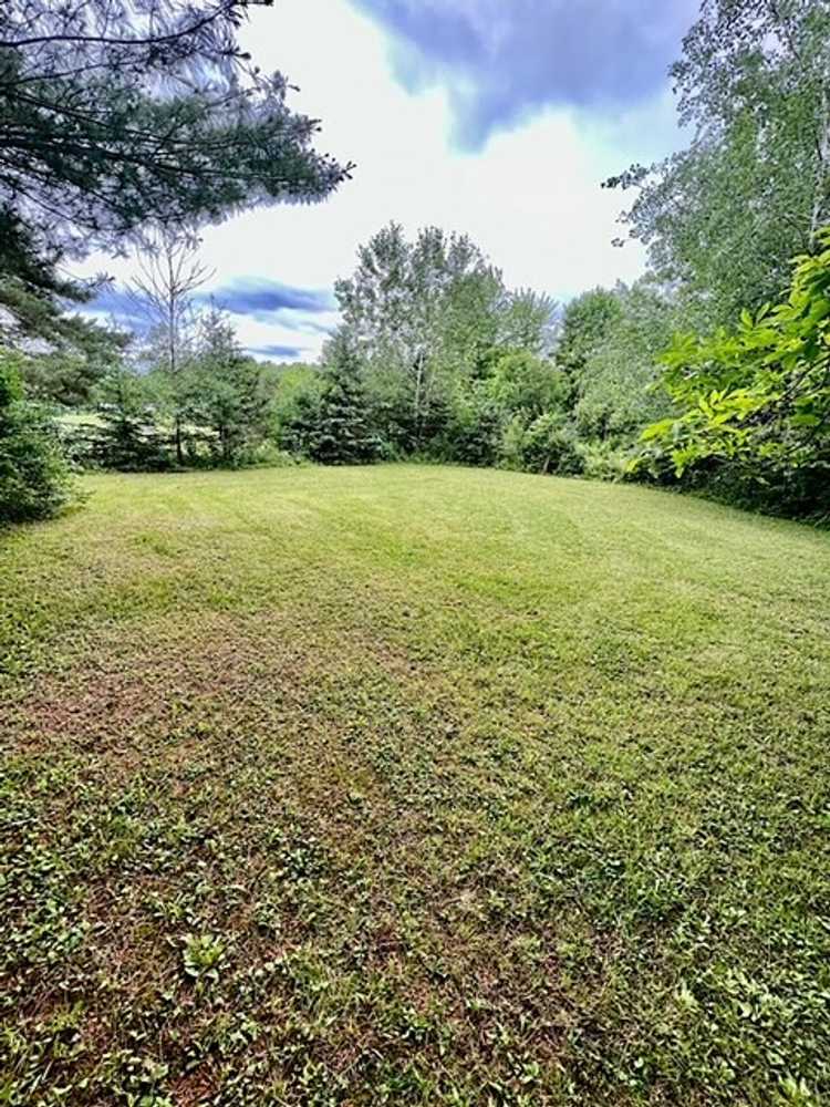 Finger Lakes Cabins and Campground - Main Photo