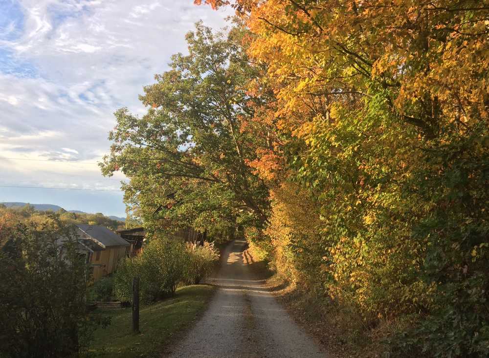 Saylwinds Campground, West Virginia - Photo 5
