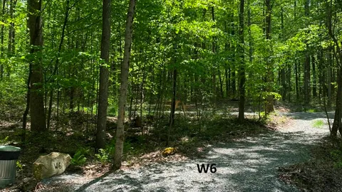 Wooded Primitive — image 1 of 4