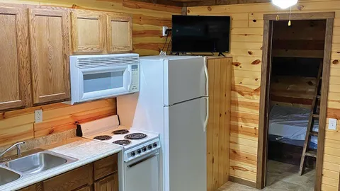Deluxe Cabin w/ Pond View — image 2 of 2