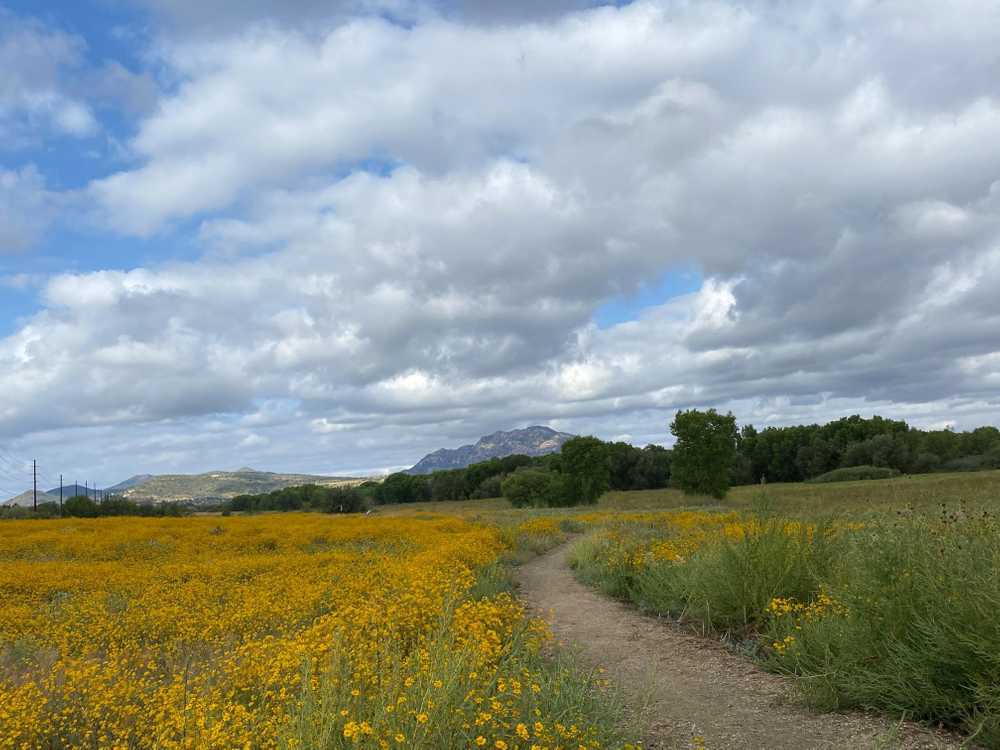 Park Image 8