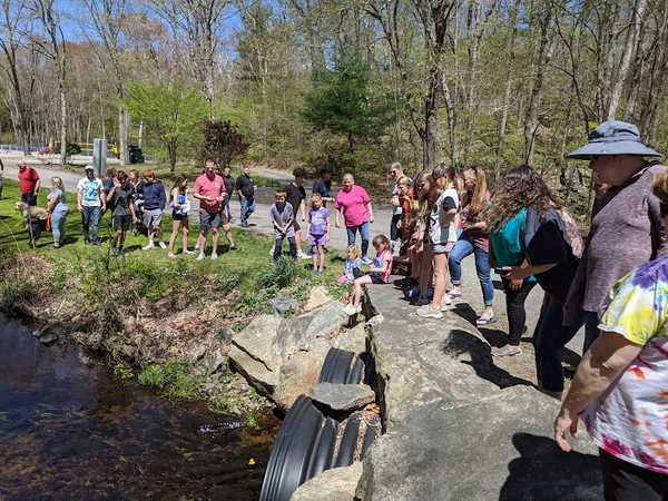 Spring "2 for 1" Weekend