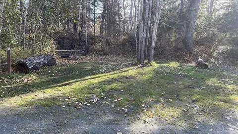 Primitive Tent Site — image 1 of 2