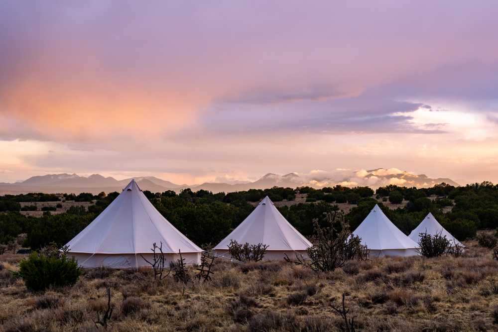 KitFox, Lamy, New Mexico - Photo 5