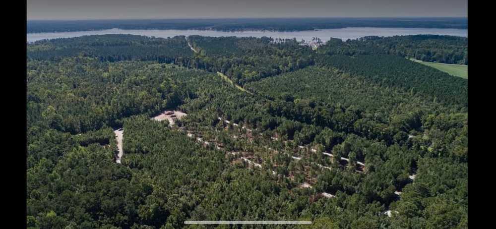 Natures Trace, Bayboro, North Carolina - Photo 2