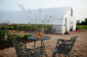 Oak & Ember Farms – photo 2