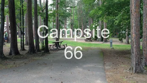Full Hook-Up Site — image 2 of 40