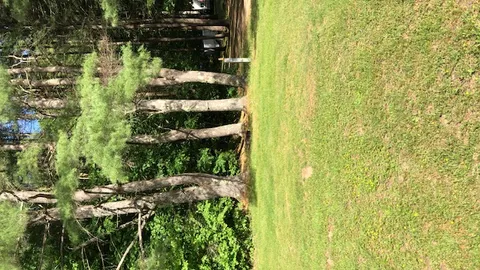 30 Amp RV Site Water and electric only — image 3 of 3
