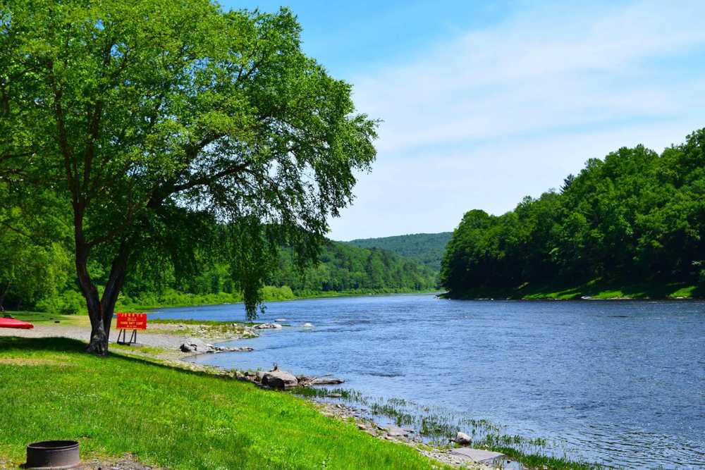 Park Image 7