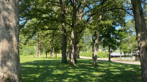 Tent Grove Sites — image 8 of 8