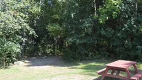 Field Tent Site — image 5 of 5
