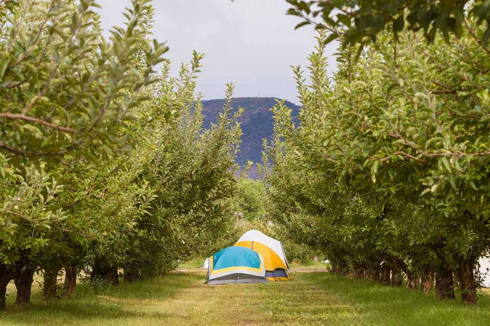 Lower Orchard Camping