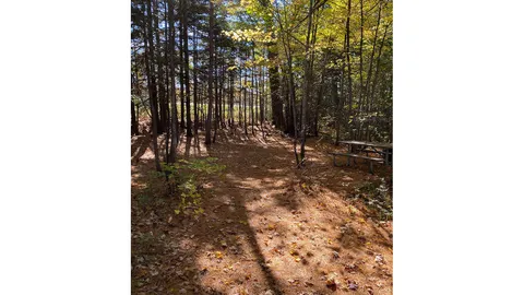 Rustic Tent Site — image 2 of 2