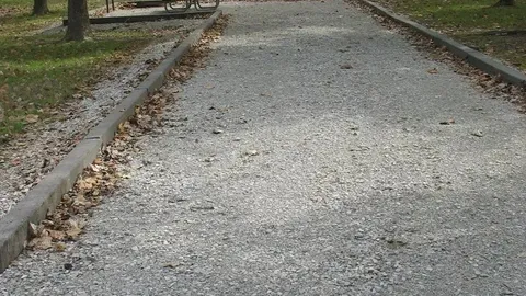 Primitive RV/Tent Site — image 15 of 15