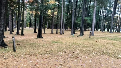 Basic Site — image 3 of 3