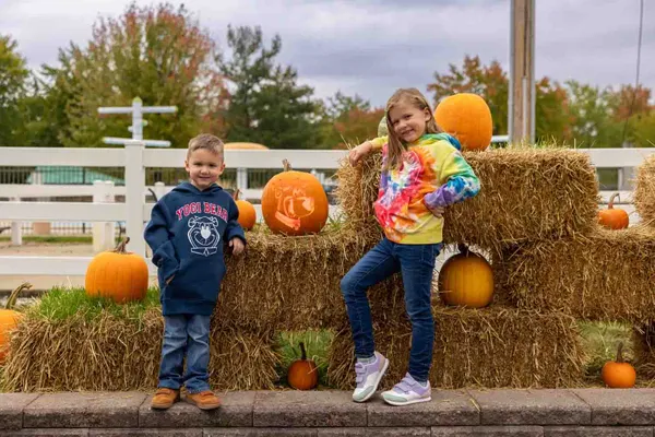 Pumpkin Pic-A-Nic