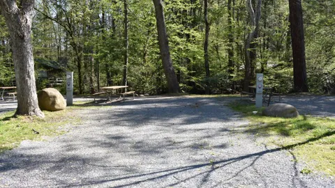 Standard On River Full Hookup RV Site — image 2 of 13