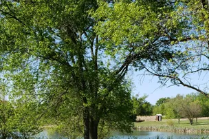 Hurdland South Sever Lake – photo 2