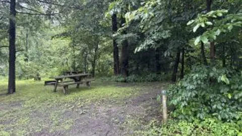 wooded tent site — image 5 of 5