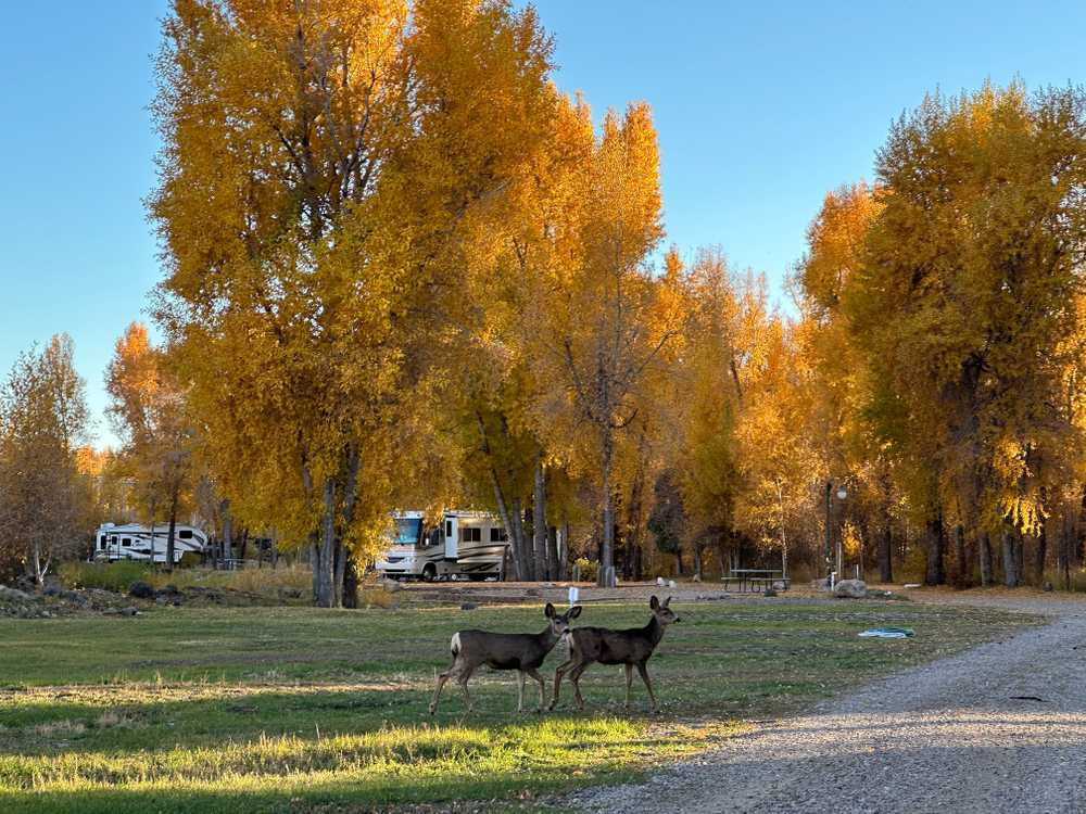 Park Image 5