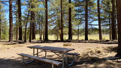Meadow View Small — image 1 of 2