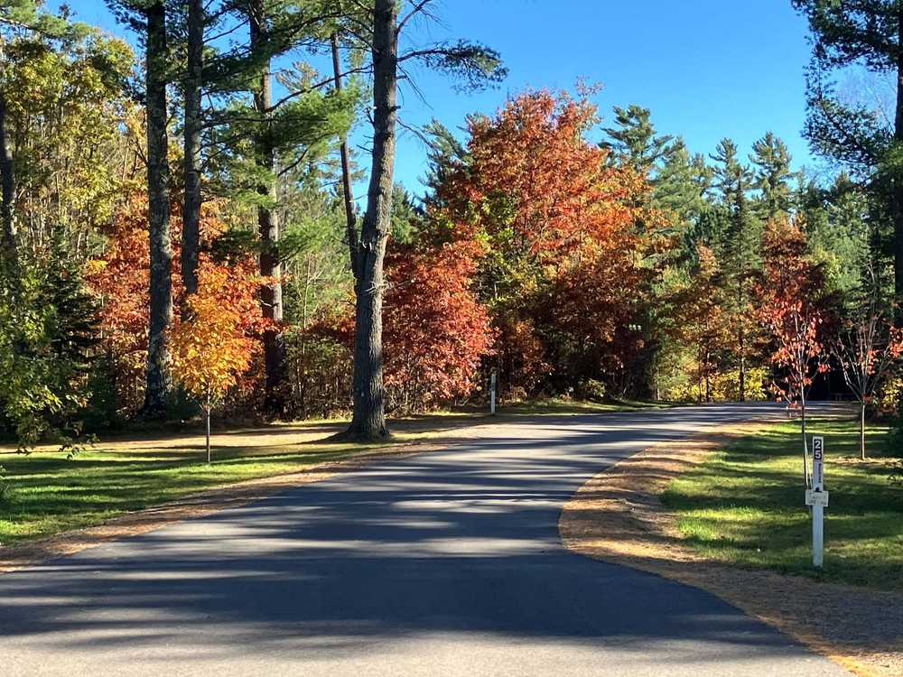 Torch Lake Campground & RV Park - Conover, WI - Photo 2