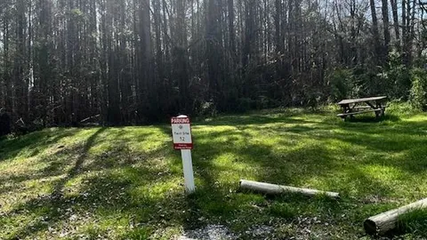Primitive Tent Site — image 1 of 2