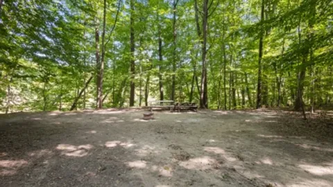 Premium Primitive Tent Creekside Site — image 5 of 5