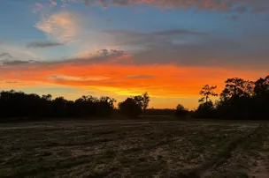 Cowbird Campground – photo 3