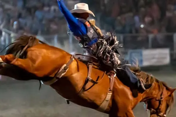 Laketown Raspberry Days Rodeo