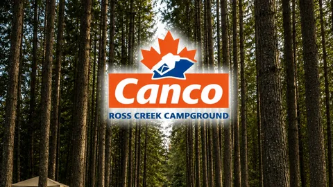 Full Service RV Rental — image 1 of 1