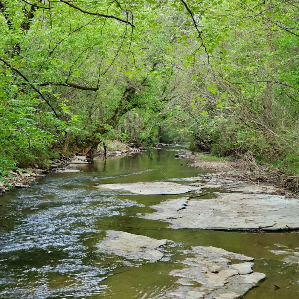 Park Image 7
