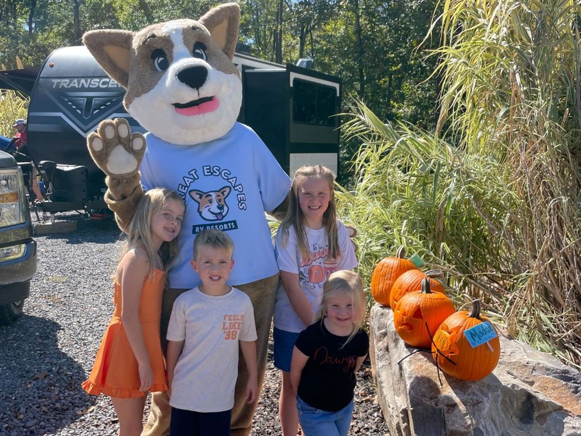 Great Escapes RV Resort Chesnut Bay - Leesburg