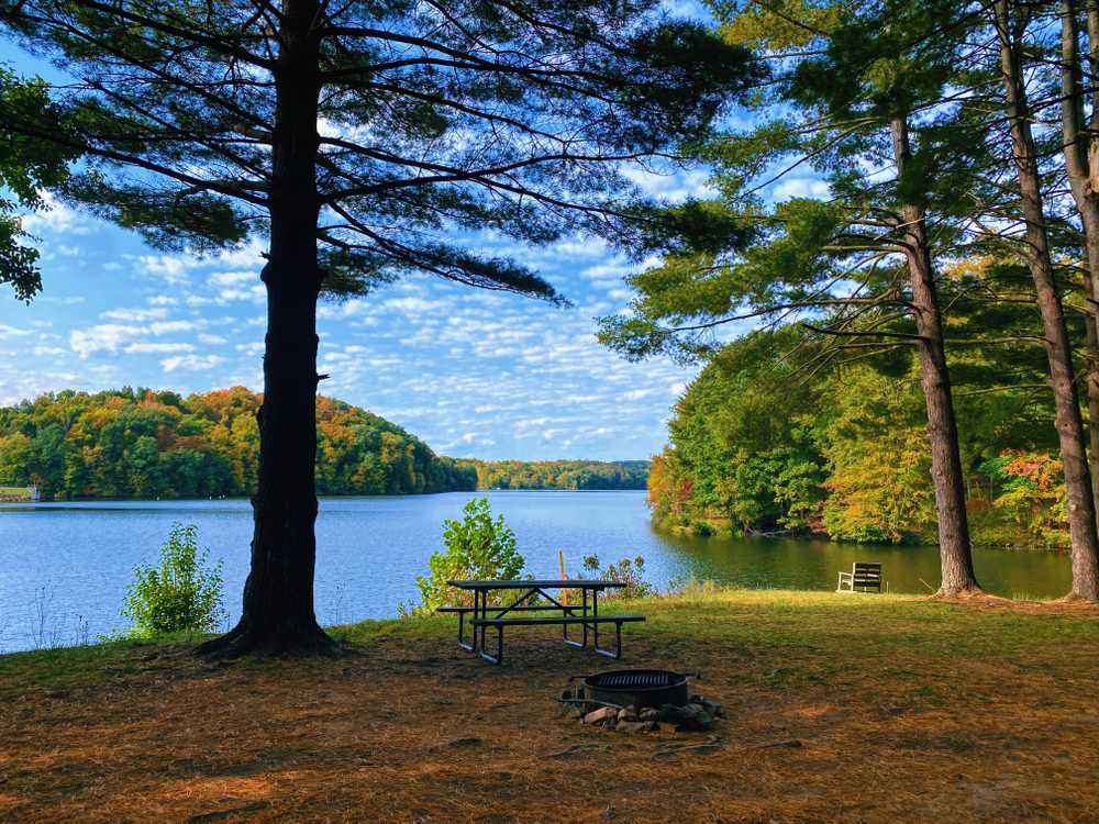 Campbell Cove RV Resort & Campground - Photo 2