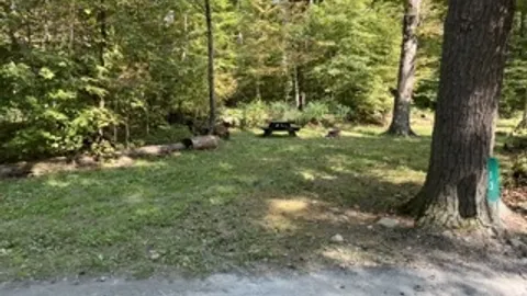 Tent / No Forest Amenity RV Site - 10 Person Maximum — image 10 of 10