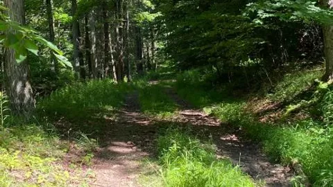 Primitive Camp Site — image 3 of 3