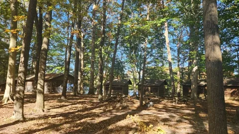 Overnight Tall Timbers — image 1 of 7