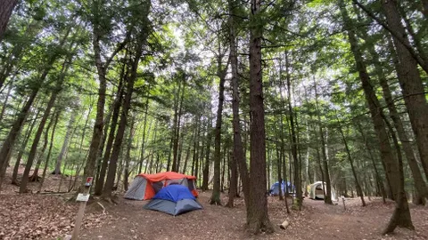 Rustic Tent Site — image 1 of 1