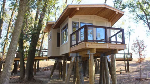 Belted Kingfisher Treehouse — image 1 of 8
