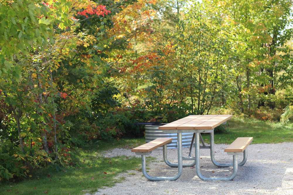 Manistique Lakeshore Campground - Photo 4