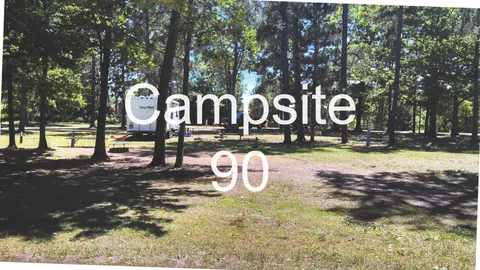 Full Hook-Up Site — image 2 of 40
