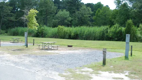 Standard Water and Electric Back-In RV Site — image 12 of 12