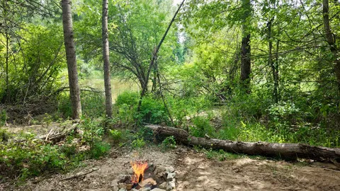 Meadow - Tent Only — image 1 of 1